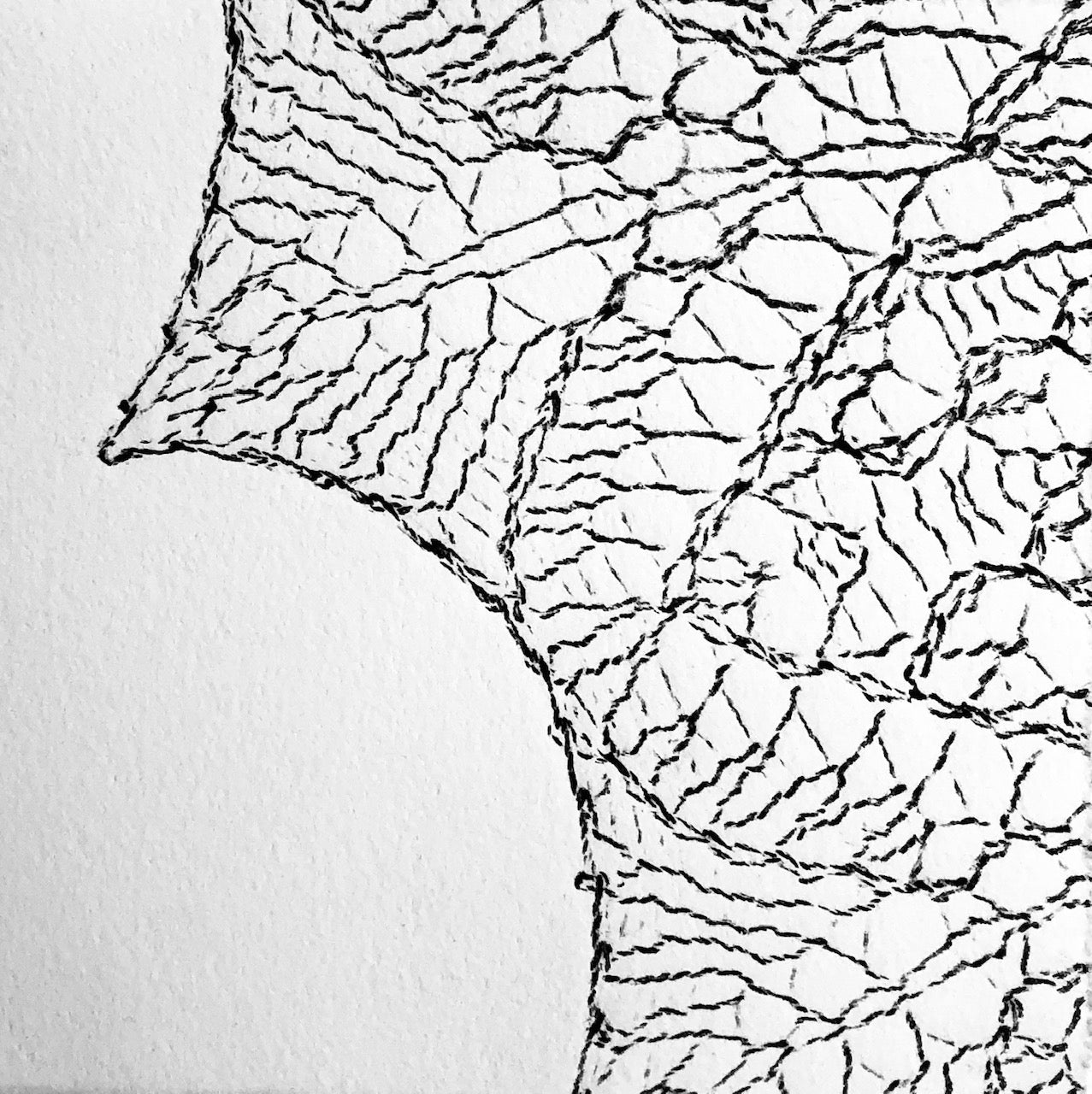 Waltz of the Dragonflies Remnant Squared