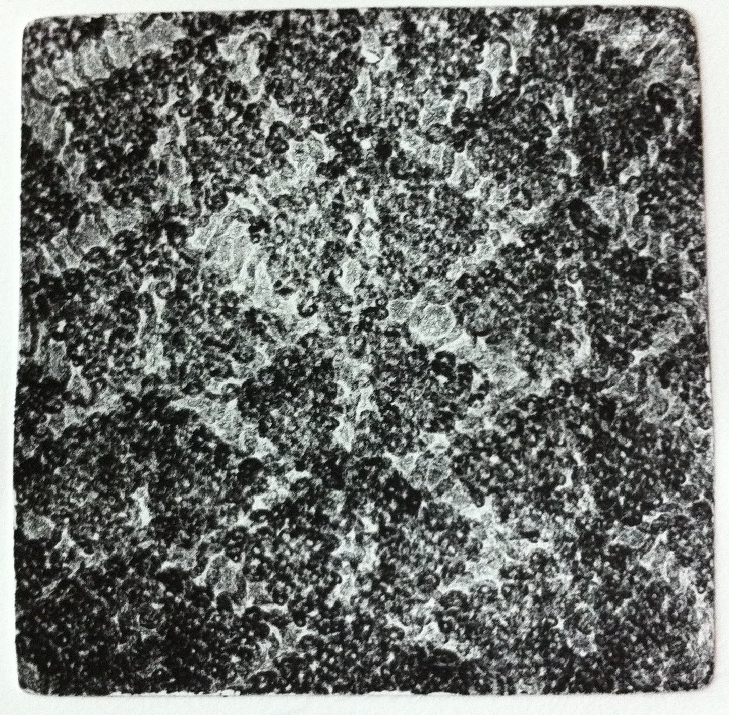 Dutch Lace Stitch, Swatch #1