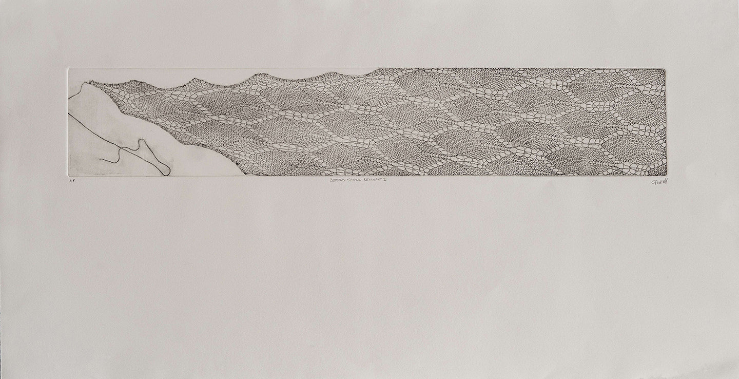 Vesna Shawl Remnant I