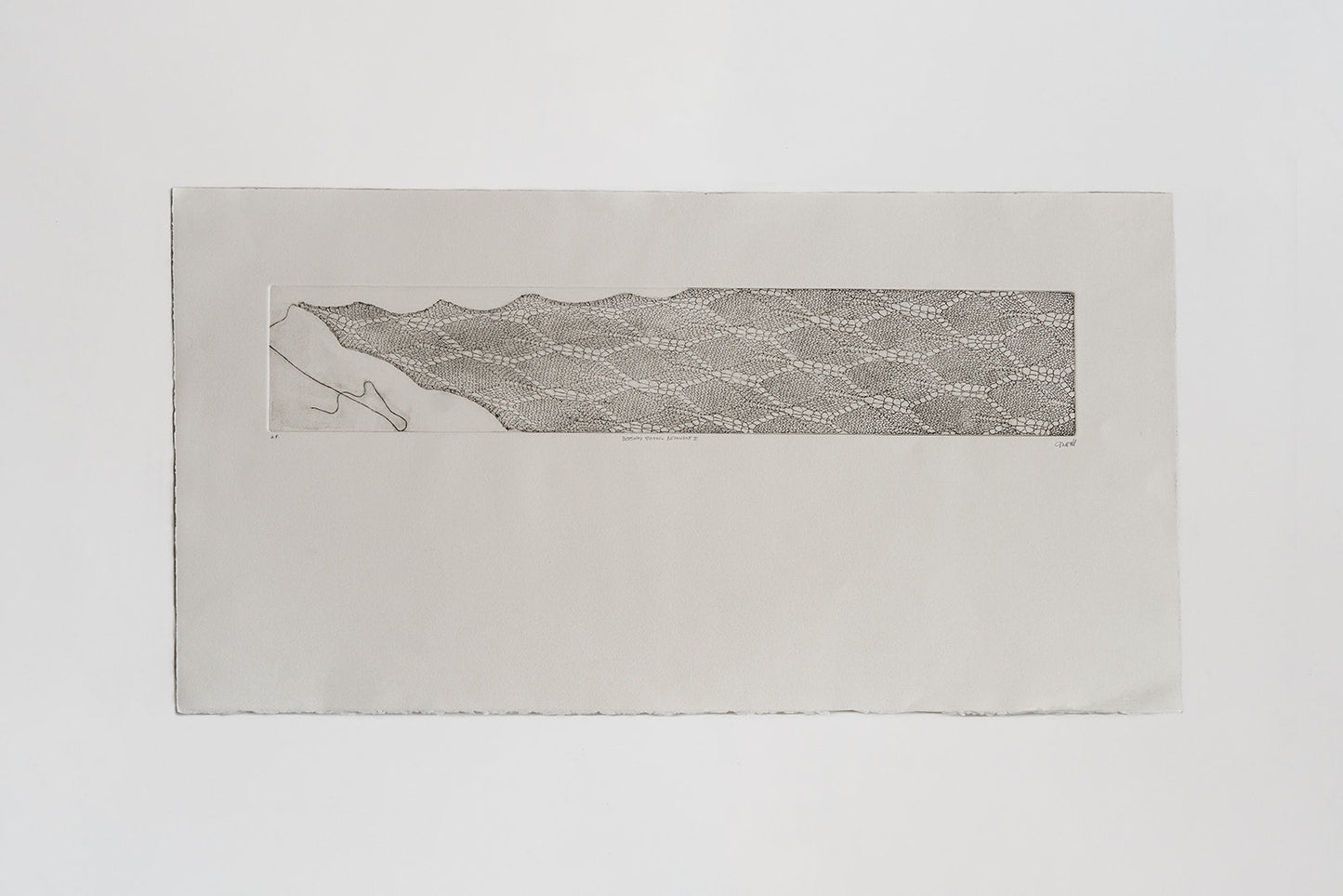 Beeswax Shawl Remnant I