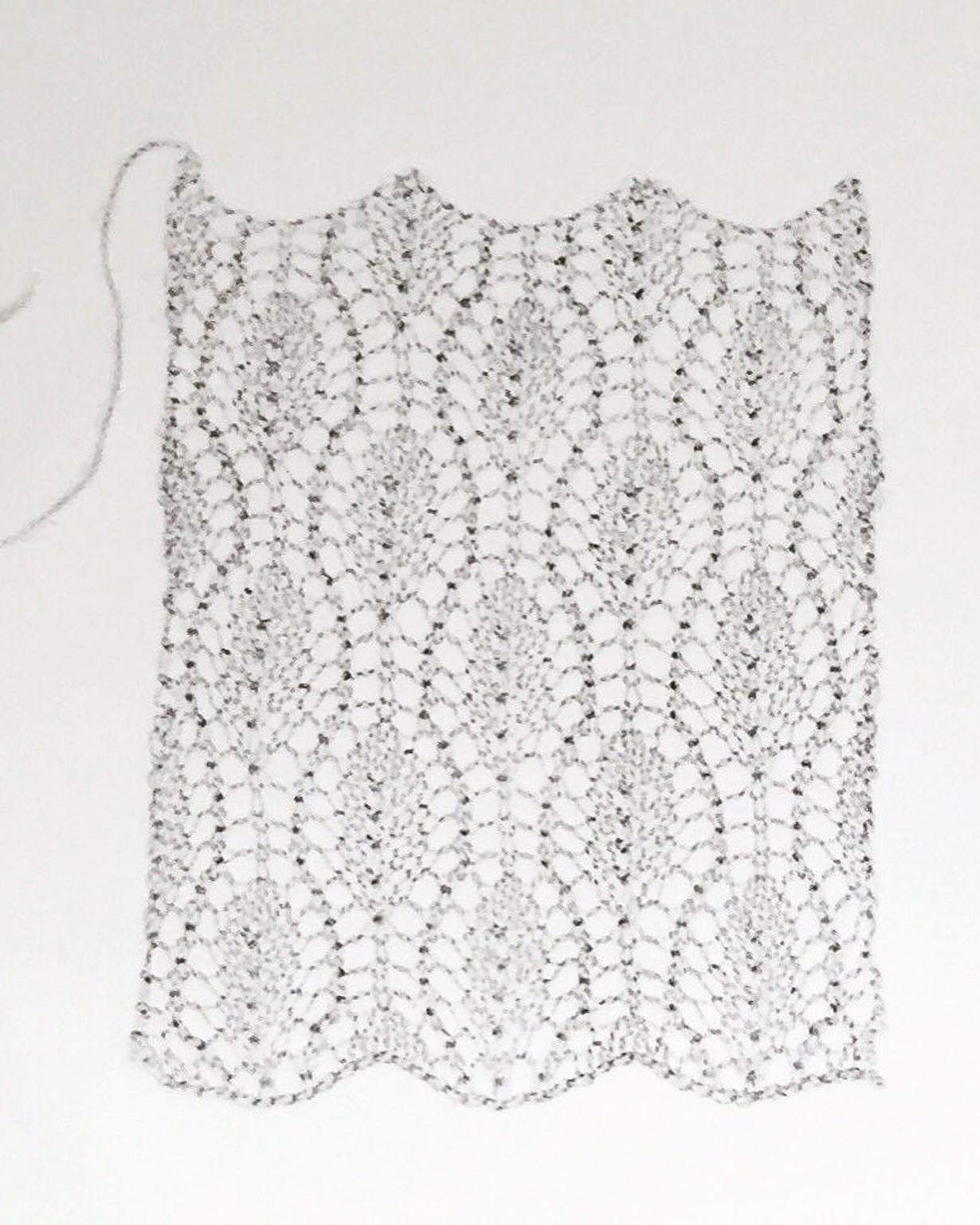 Trellis-Framed Leaf #1